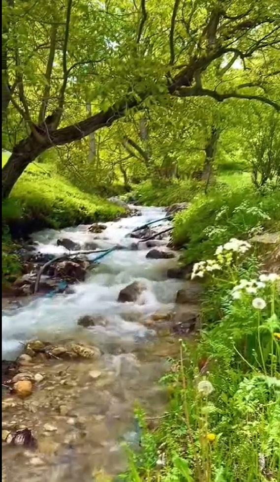 Van Alacayar Mahallesi (2)