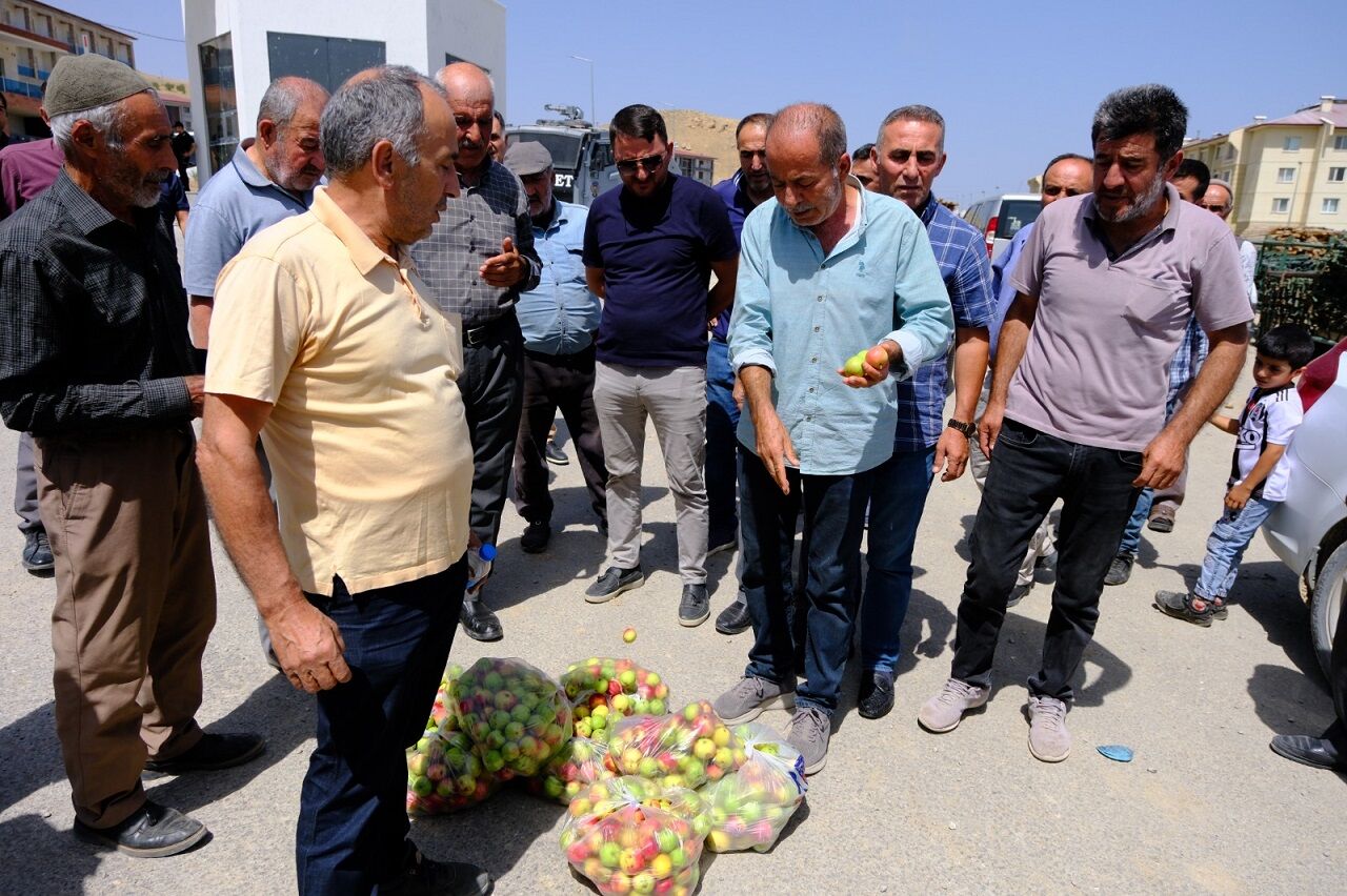 Van Dsi Eylemi Kuru Elmalar (1)