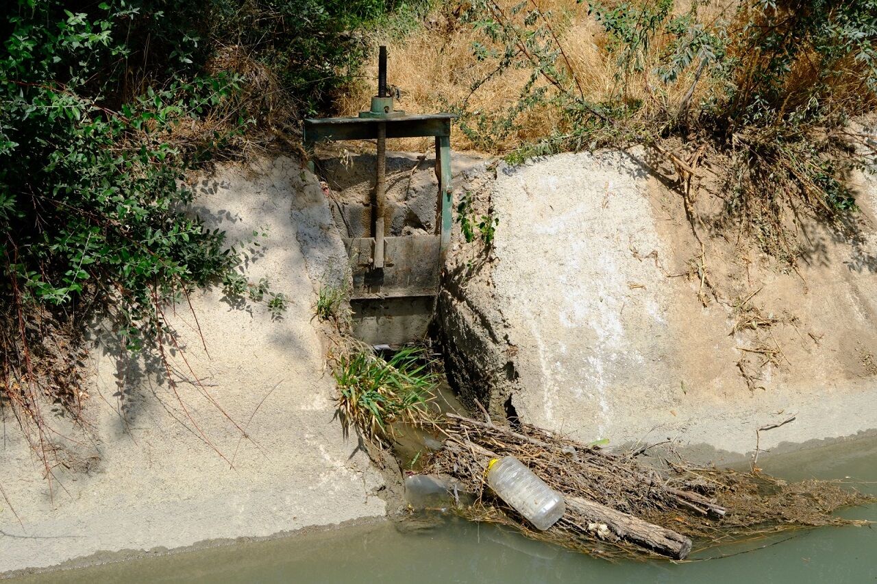 Van Dsi Eylemi Kuru Elmalar (3)