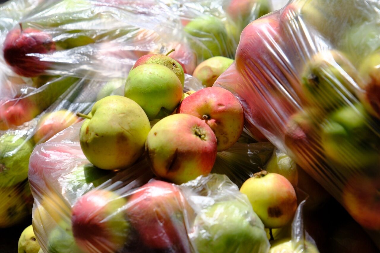 Van Dsi Eylemi Kuru Elmalar (6)