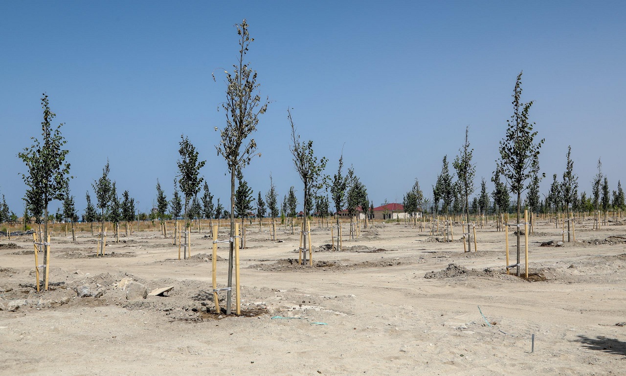 Van Ihlamur Parkı (4)