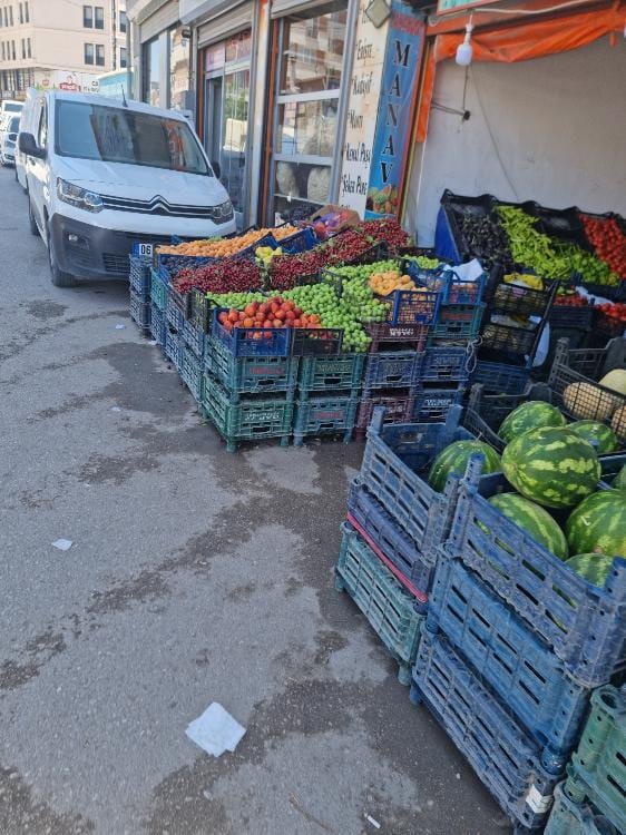 Van Kaldırım Işgali (10)