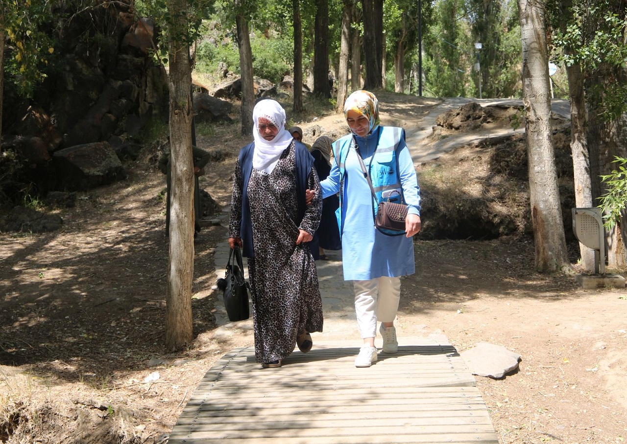 Yaşlı Gezi (1)