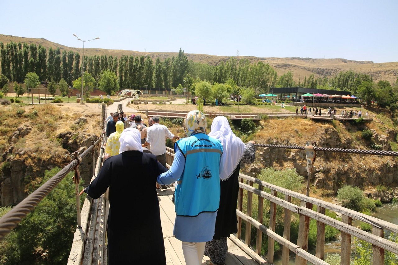 Yaşlı Gezi (3)