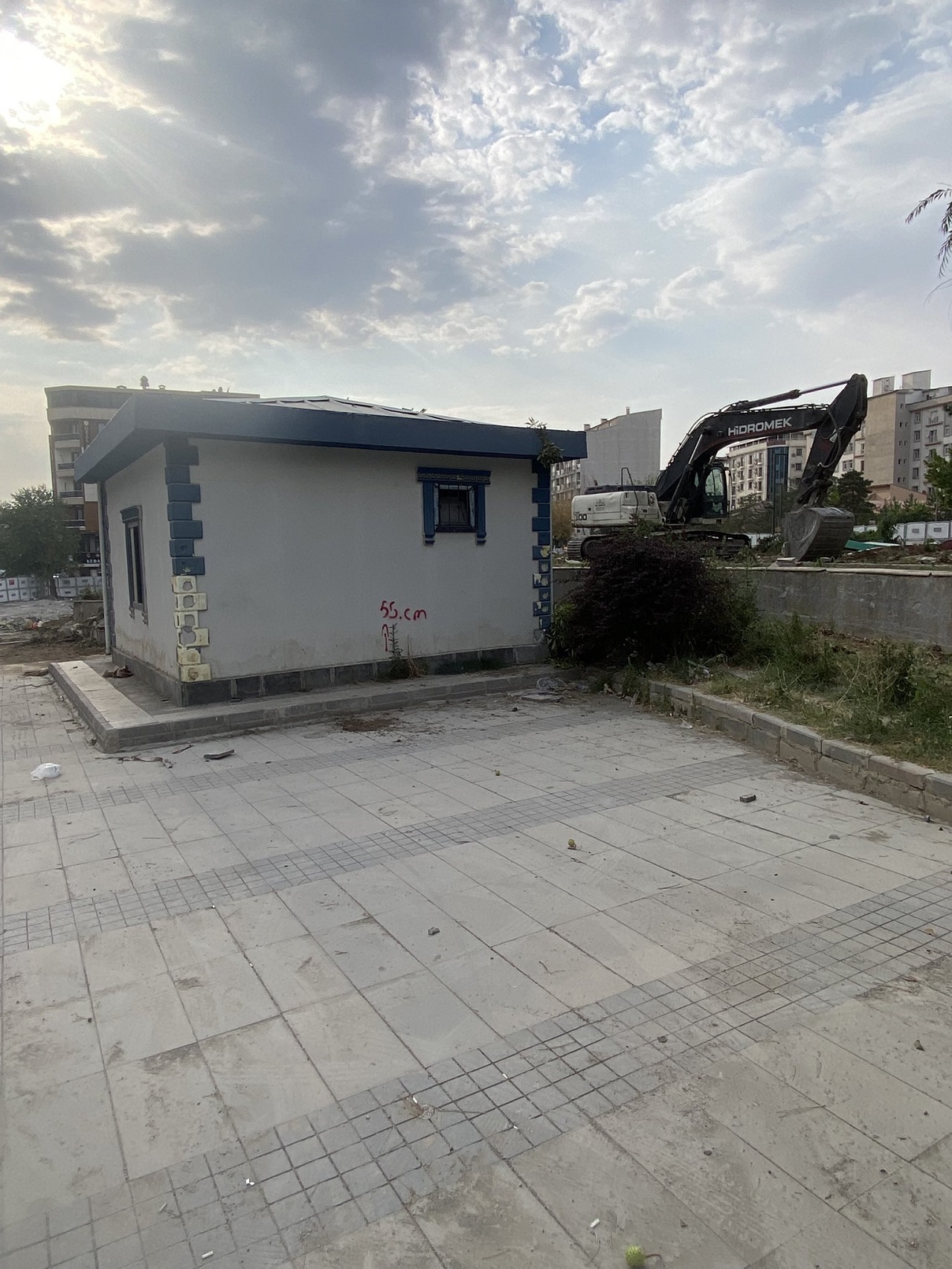 Hazreti Ömer Cami Ağaç Talan Edildi (1)
