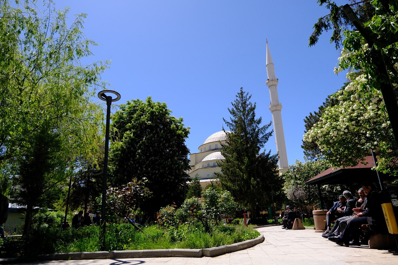 Hazreti Ömer Cami Ağaç Talan Edildi (2)