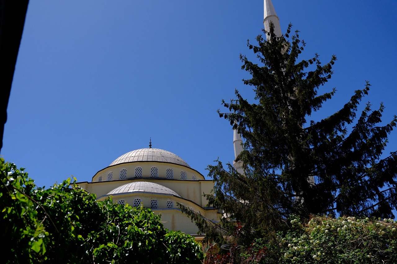 Hazreti Ömer Cami Ağaç Talan Edildi (3)