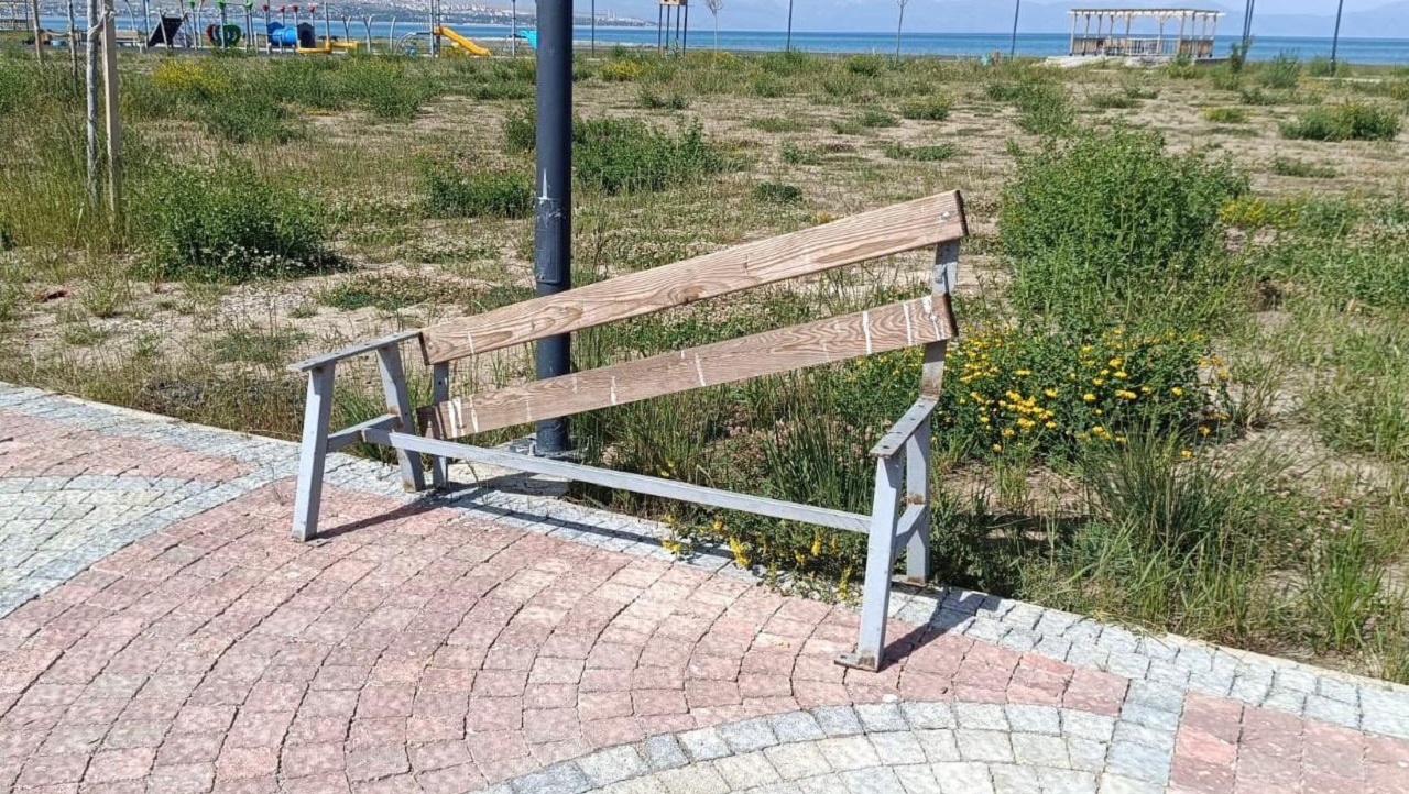Van Bank Ve Kamelyalar (2)