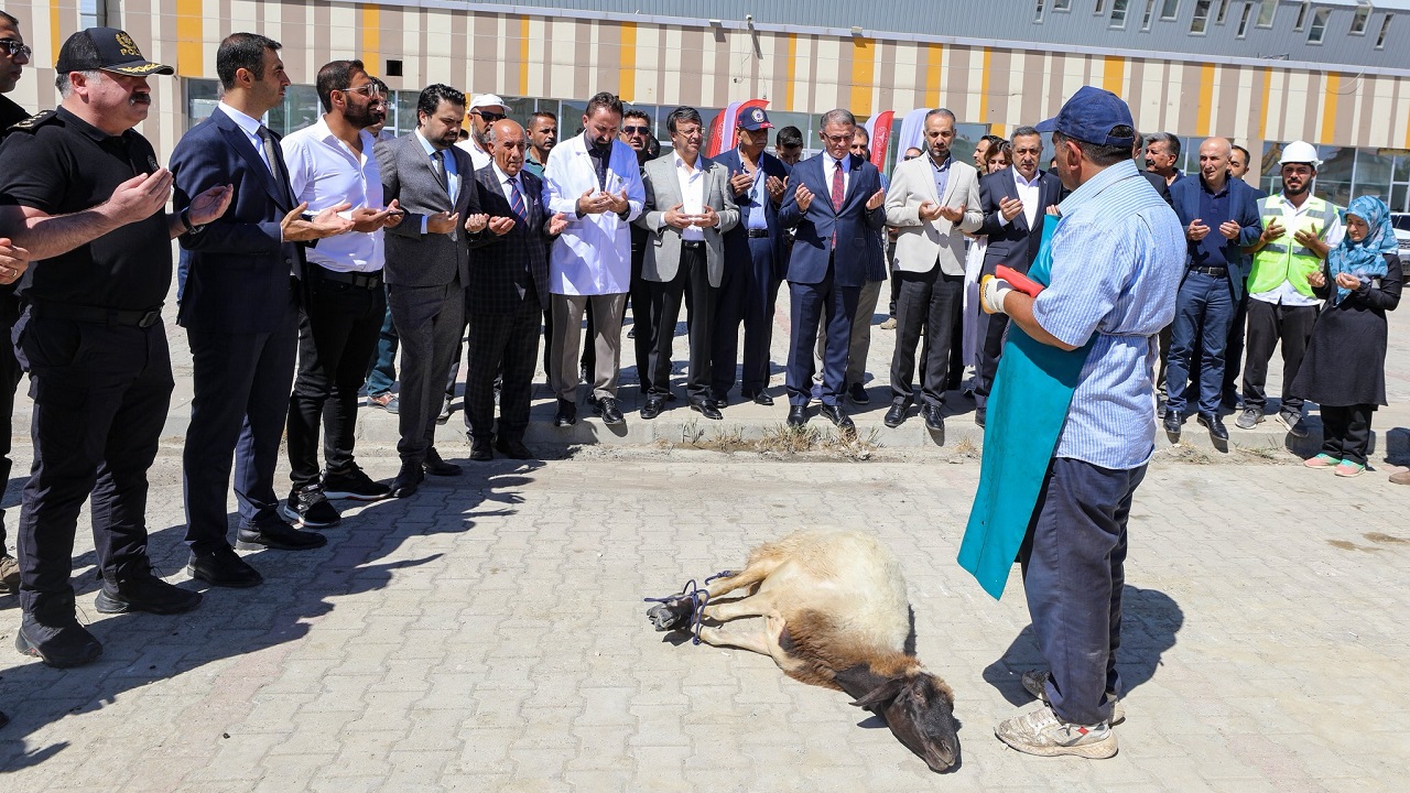 Van Şehir Hastanesi Inşaat Alanı (3)