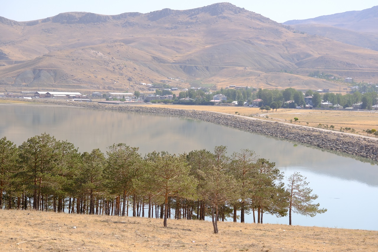Van Sıhke Gölü Orman (1)