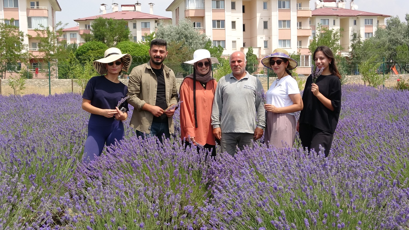 Van Tıbbi Aromatik Bitkiler (4)
