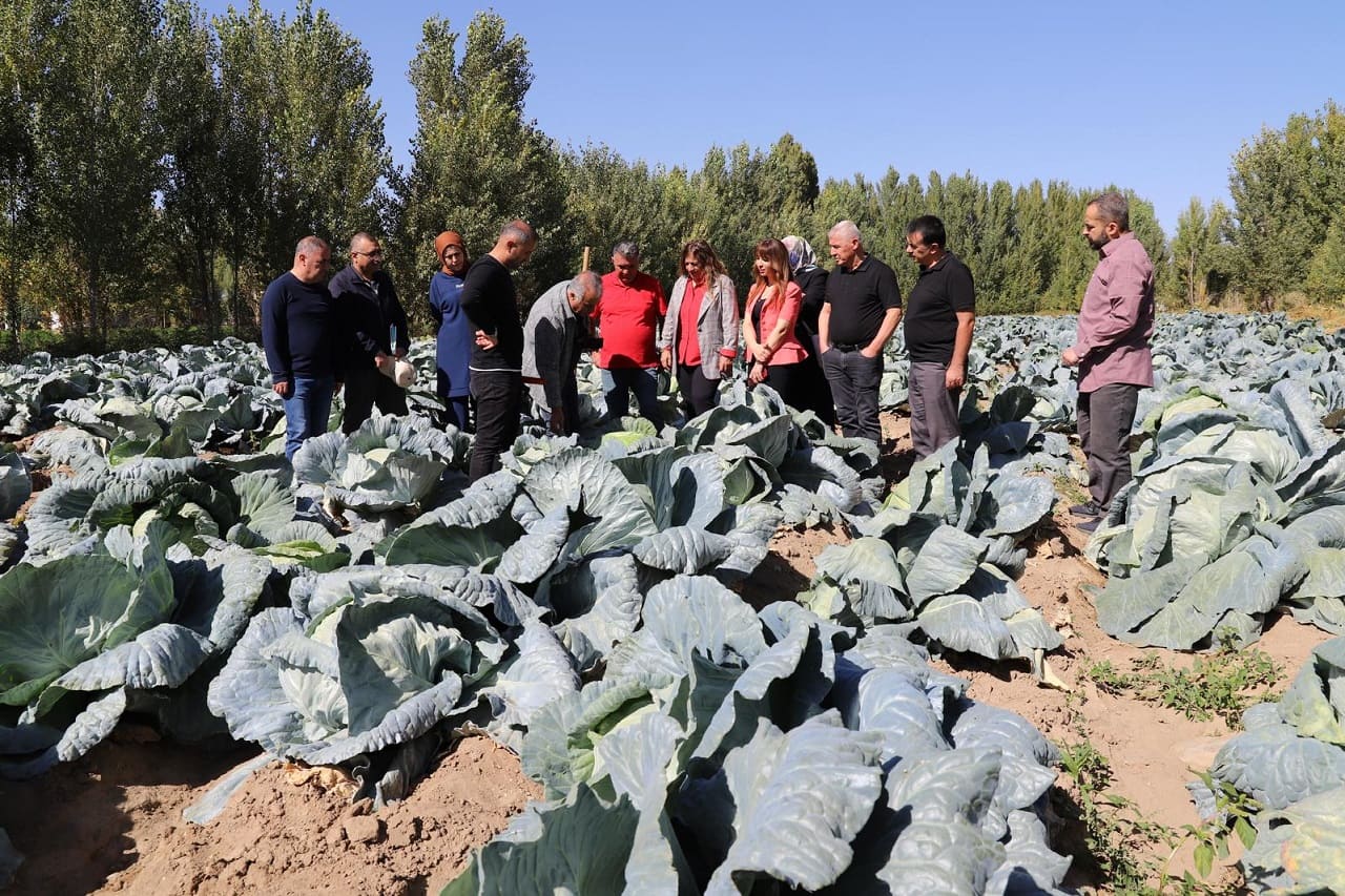 Erciş Lahanası Denetimlerden Tam Not Aldı (3)