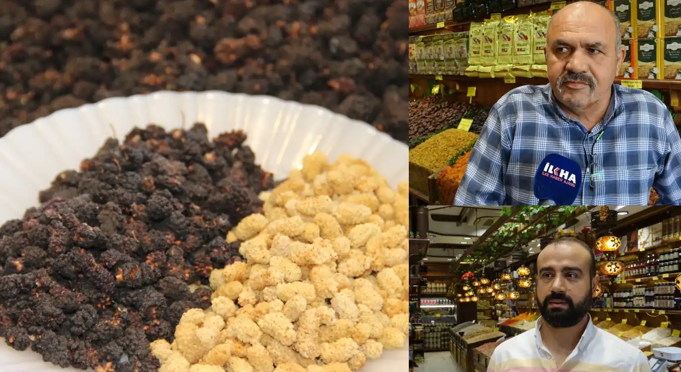 Her Gun Bir Avuc Yeter Uzmanlar Bu Besini Oneriyor 2