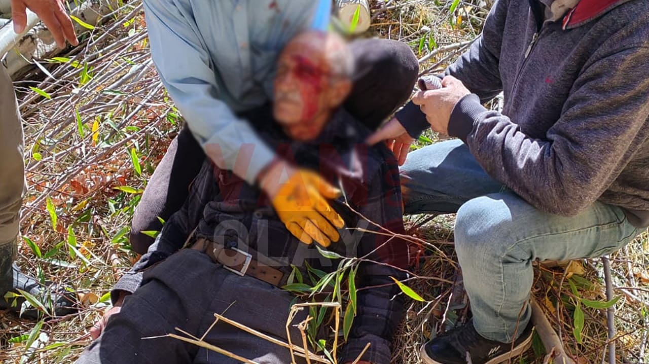 Van’da Yaşlı Adam Kesilen Ağacın Altında Kaldı1