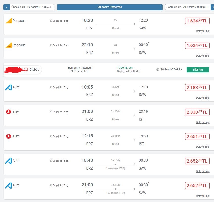 Erzurum Istanbul Uçak Bileti-1