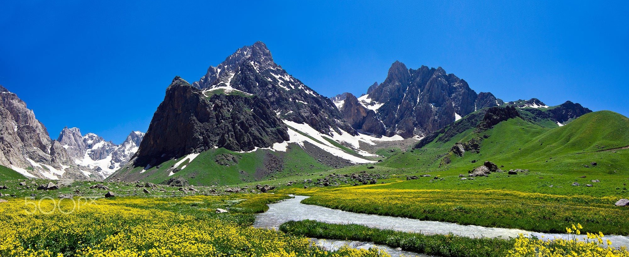 Paparanin Faaliyet Izni Iptal Edildi Musterilere Fon Iadesi Sozu 3