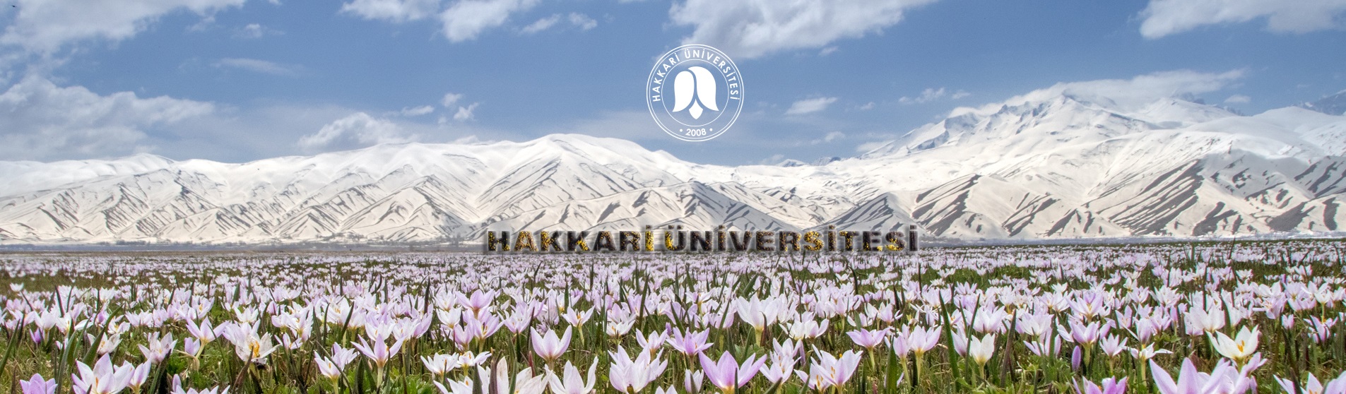 Paparanin Faaliyet Izni Iptal Edildi Musterilere Fon Iadesi Sozu 5