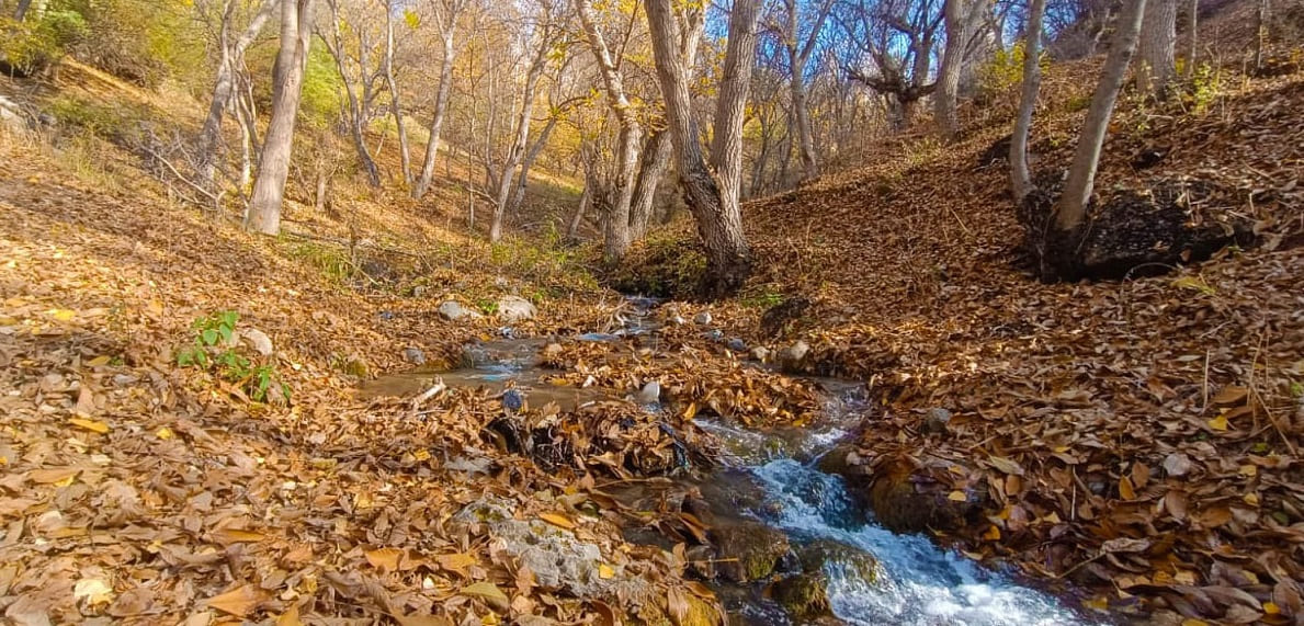 Van Çatak’ta Sonbaharın Renk Cümbüşü Yaşanıyor (1)
