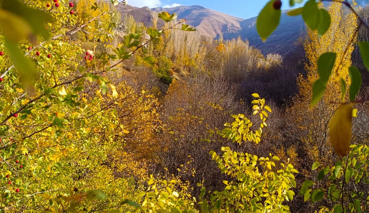 Van Çatak’ta Sonbaharın Renk Cümbüşü Yaşanıyor (10)