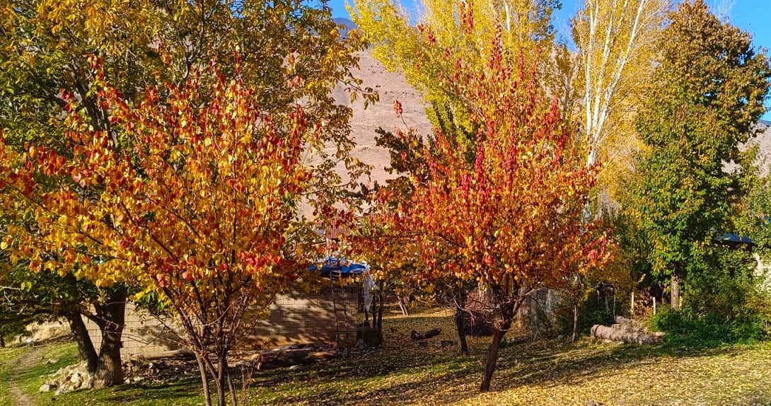 Van Çatak’ta Sonbaharın Renk Cümbüşü Yaşanıyor (3)