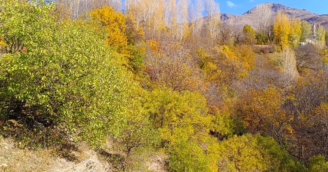 Van Çatak’ta Sonbaharın Renk Cümbüşü Yaşanıyor (7)