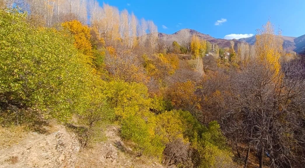 Van Çatak’ta Sonbaharın Renk Cümbüşü Yaşanıyor (8)