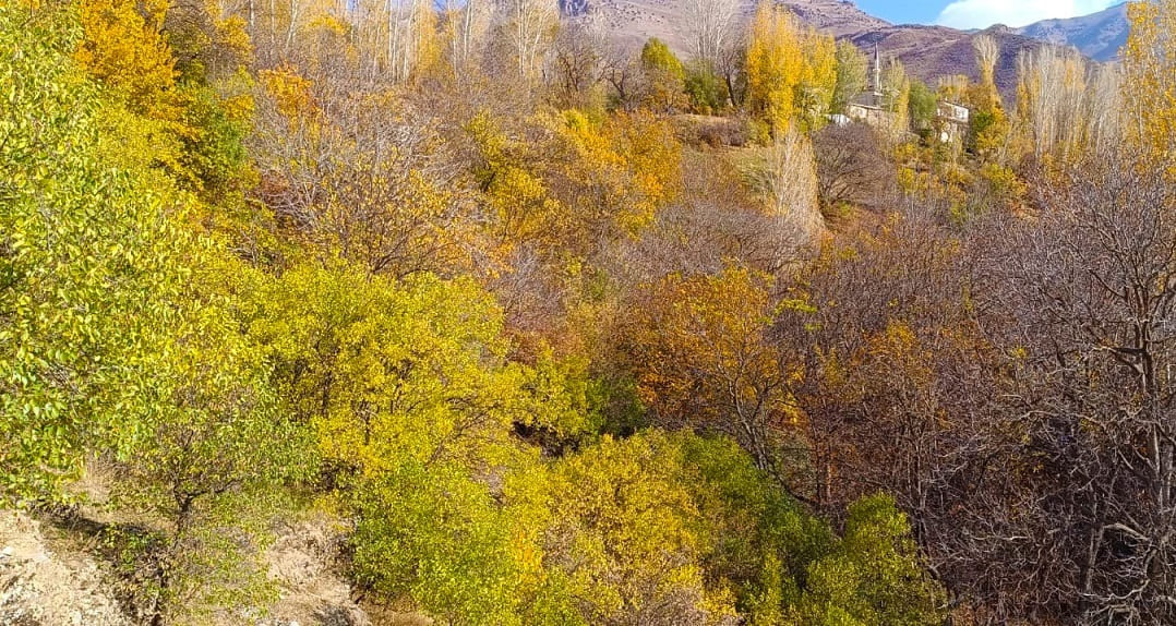 Van Çatak’ta Sonbaharın Renk Cümbüşü Yaşanıyor (9)