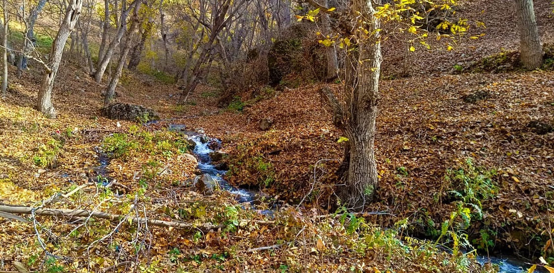 Van Çatak’ta Sonbaharın Renk Cümbüşü Yaşanıyor