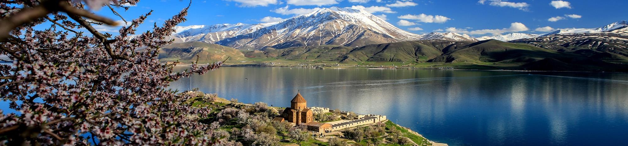 Vanda Golden Daha Fazlasi Vanin Gizli Kalmis 10 Alternatif Rotasi 10