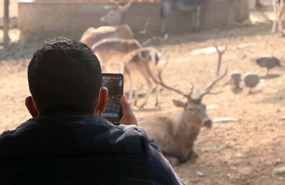 Vanda Golden Daha Fazlasi Vanin Gizli Kalmis 10 Alternatif Rotasi 5