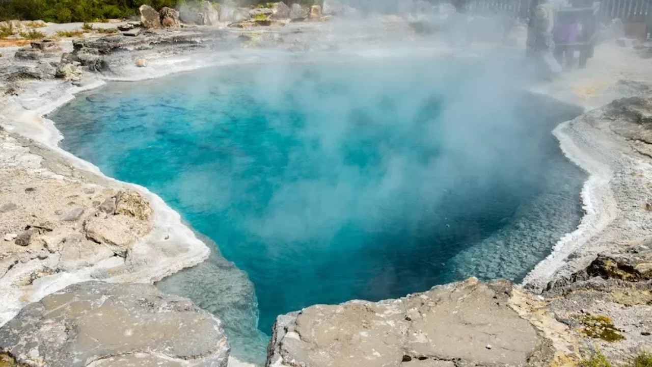 Vanda Golden Daha Fazlasi Vanin Gizli Kalmis 10 Alternatif Rotasi 6