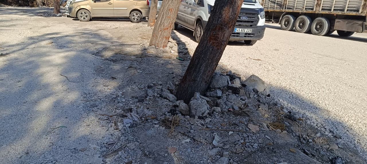 Van’da O Alan Ücretsiz Otoparka Dönüştürüldü! (5)