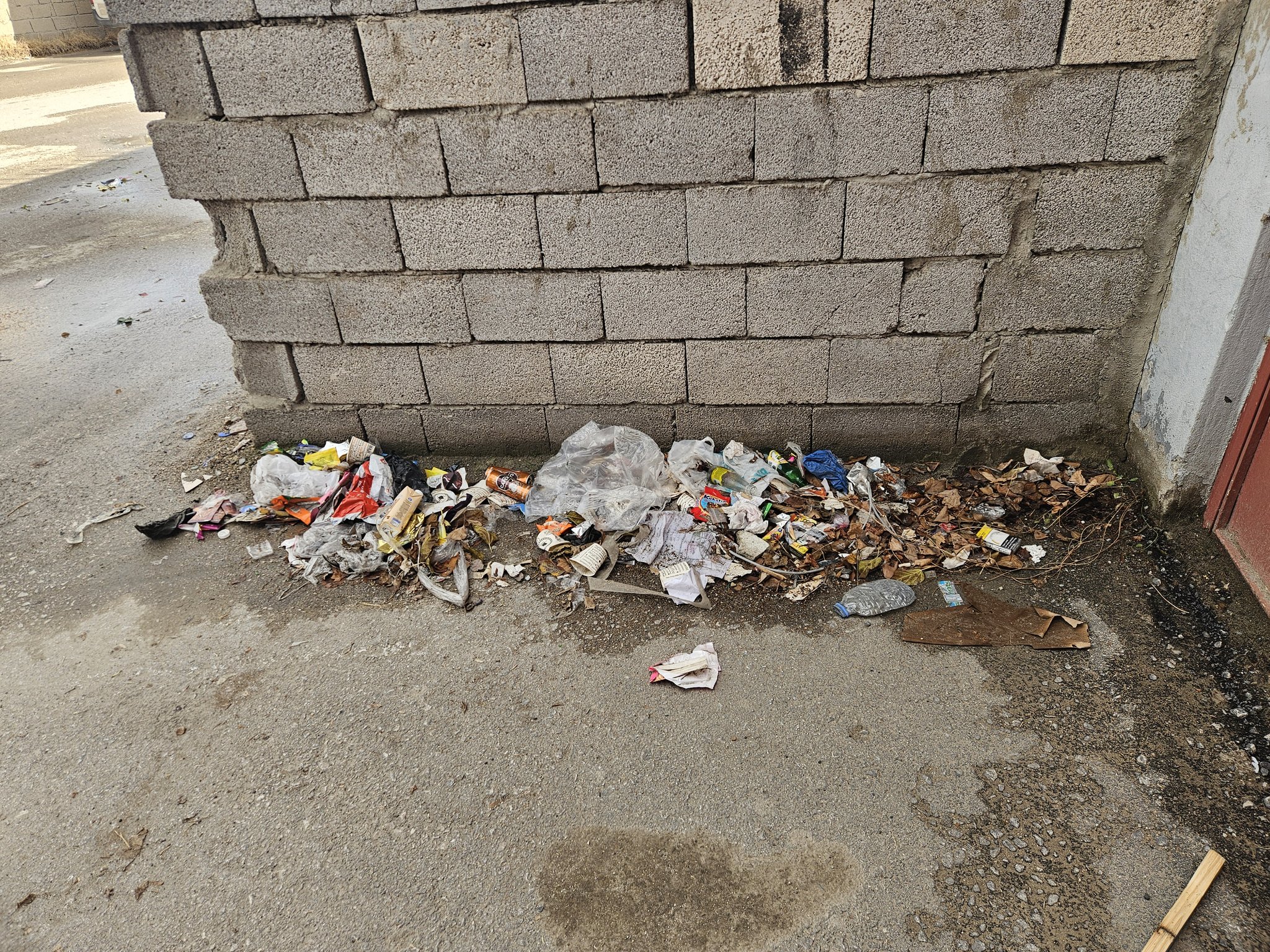 Van'da Tuşba sokaklarını çöp götürüyor-1