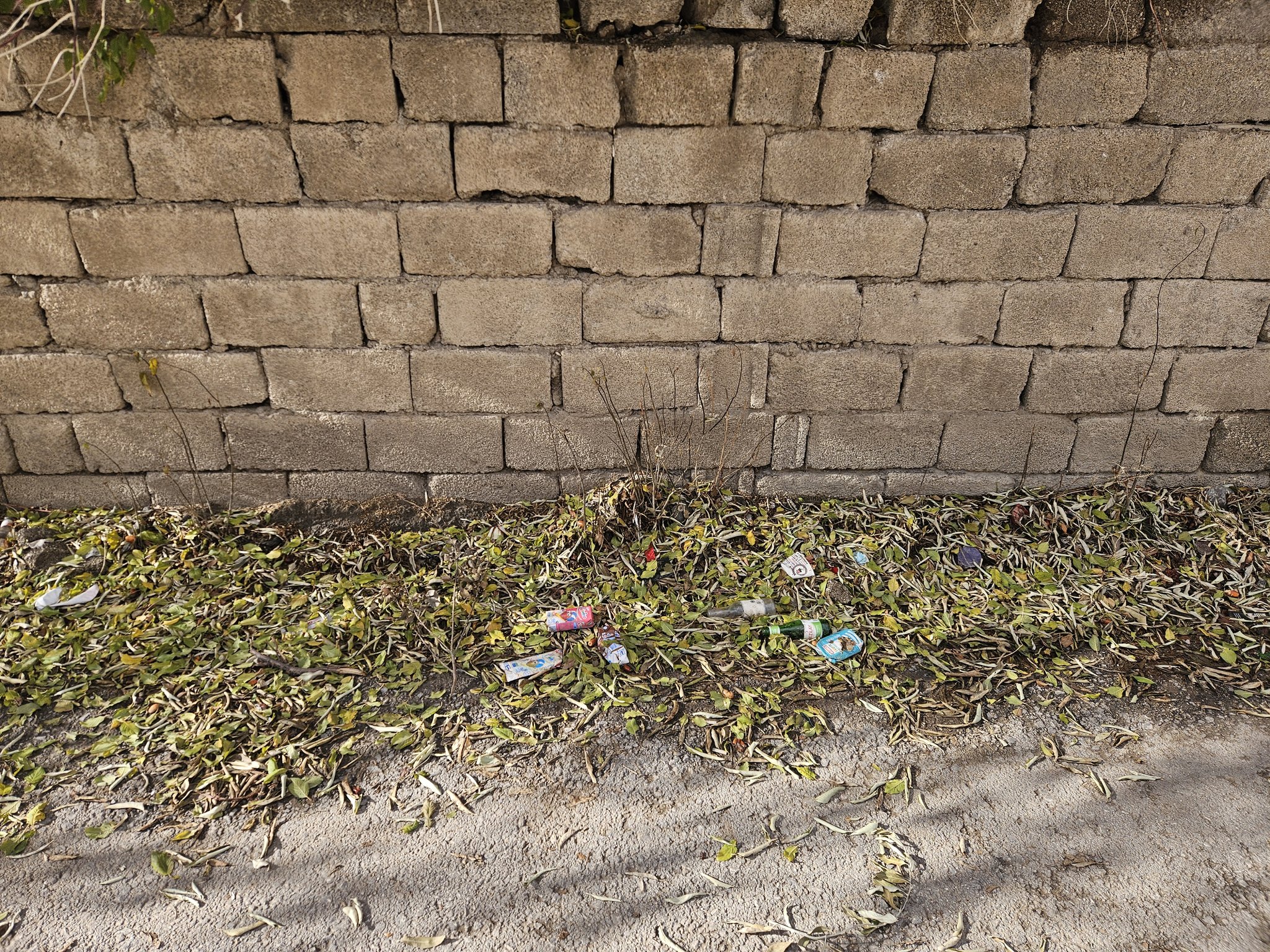 Van'da Tuşba sokaklarını çöp götürüyor-3