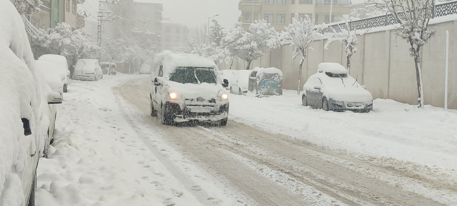 C924Be2E 8F46 4067 Bf8C 7C589A9B7Ab2