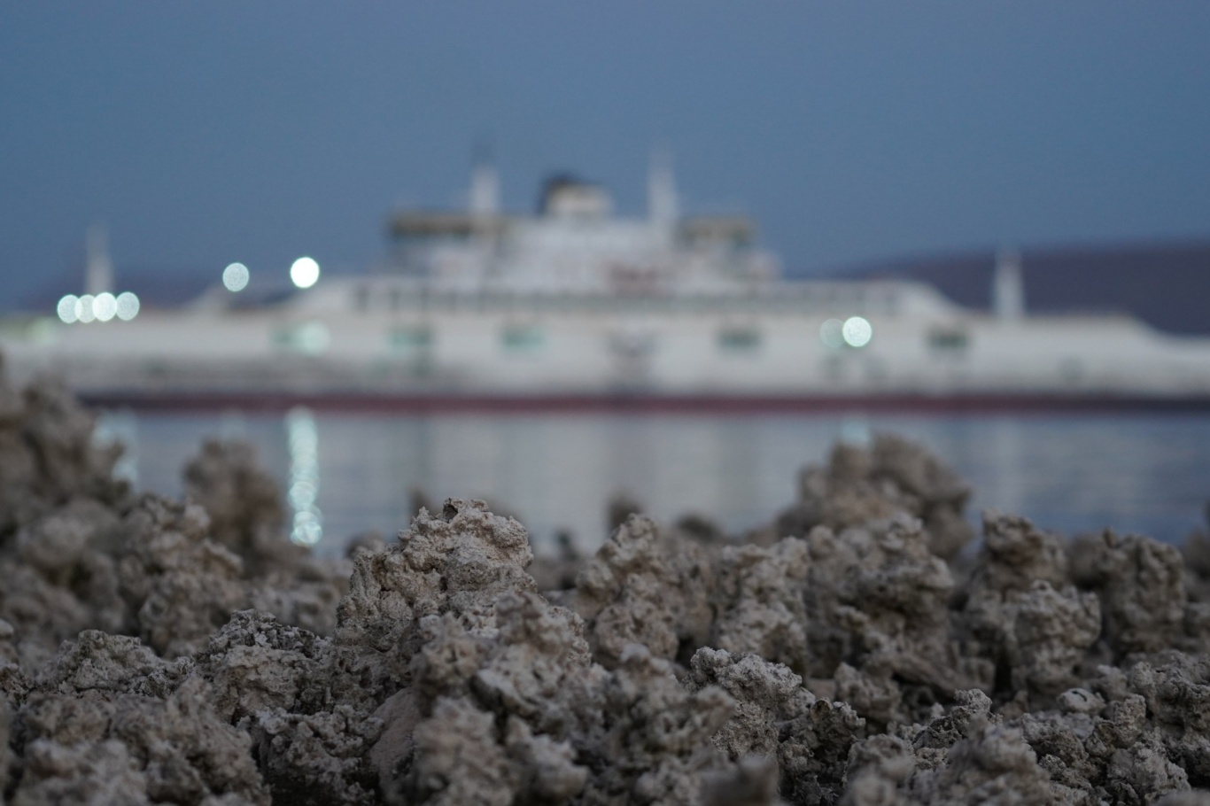 Van Gölü'nde Tehlike Devam Ediyor! Mikrobiyolitler Ortaya Çıktı (1)