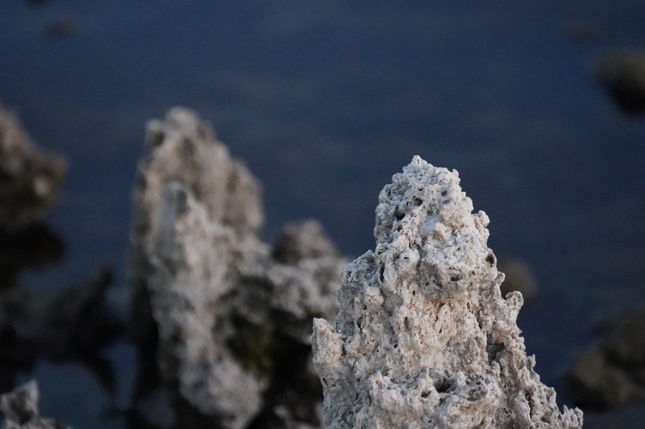 Van Gölü'nde Tehlike Devam Ediyor! Mikrobiyolitler Ortaya Çıktı (10)
