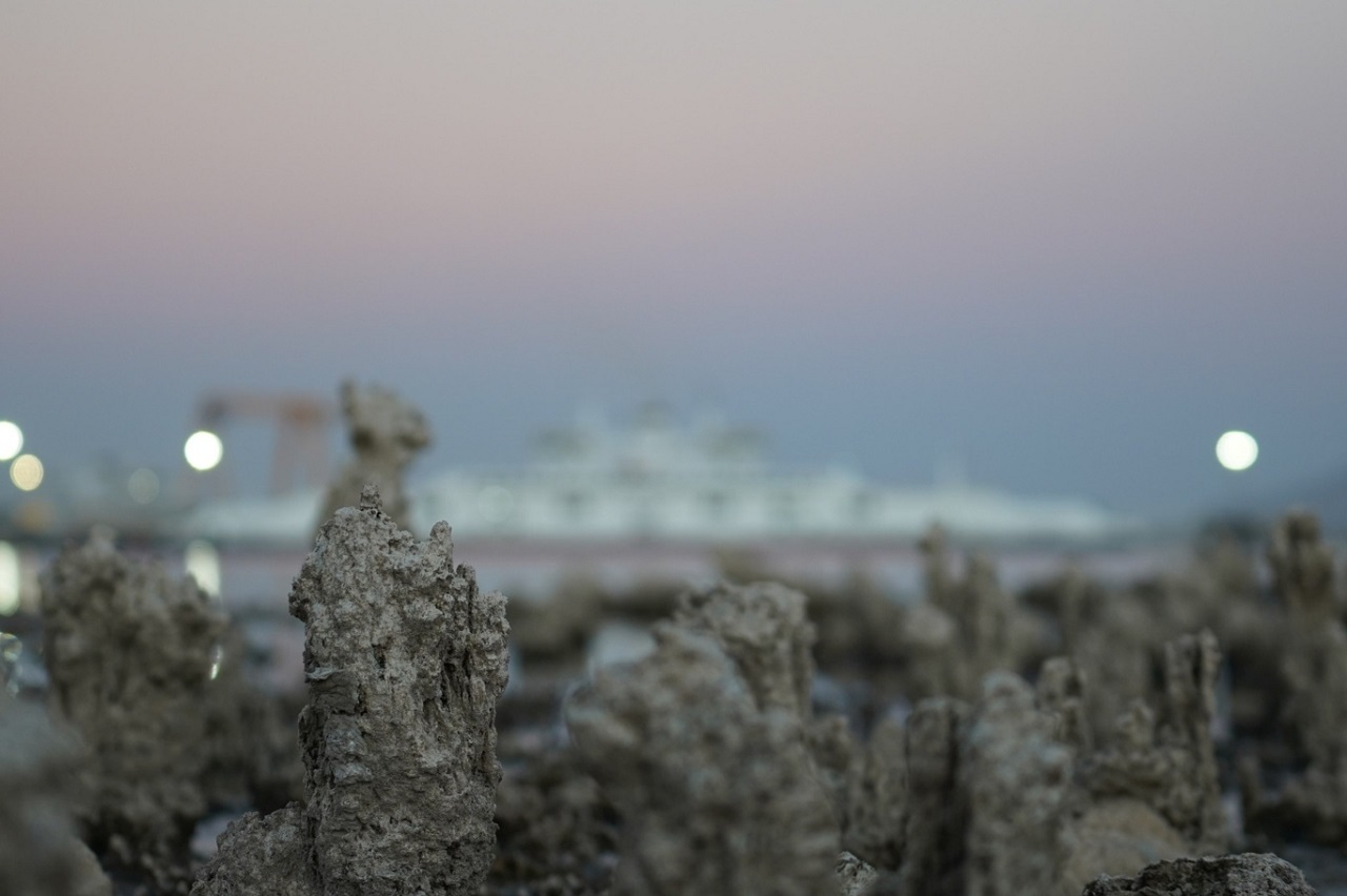 Van Gölü'nde Tehlike Devam Ediyor! Mikrobiyolitler Ortaya Çıktı (13)