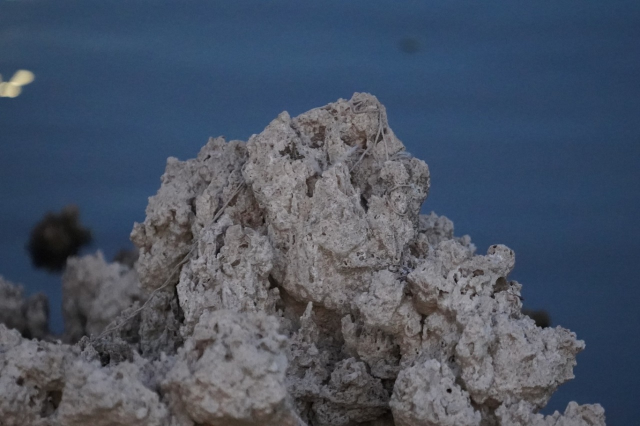 Van Gölü'nde Tehlike Devam Ediyor! Mikrobiyolitler Ortaya Çıktı (2)