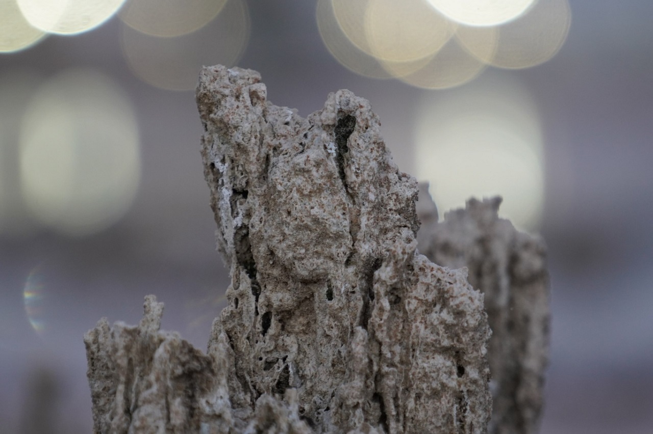Van Gölü'nde Tehlike Devam Ediyor! Mikrobiyolitler Ortaya Çıktı (3)