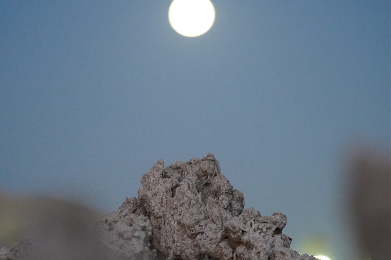 Van Gölü'nde Tehlike Devam Ediyor! Mikrobiyolitler Ortaya Çıktı (4)