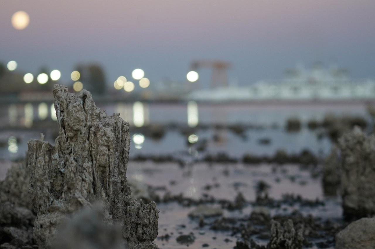 Van Gölü'nde Tehlike Devam Ediyor! Mikrobiyolitler Ortaya Çıktı (6)