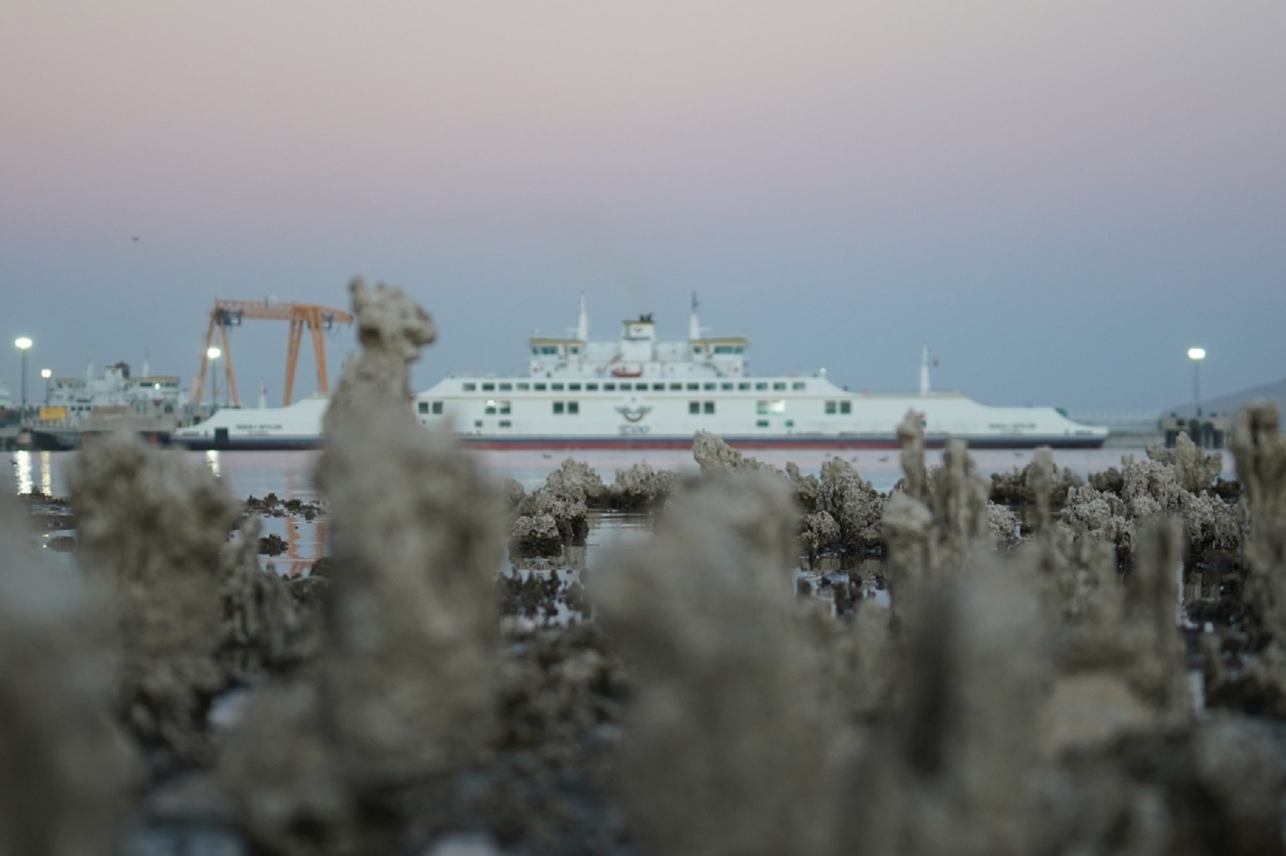 Van Gölü'nde Tehlike Devam Ediyor! Mikrobiyolitler Ortaya Çıktı (7)