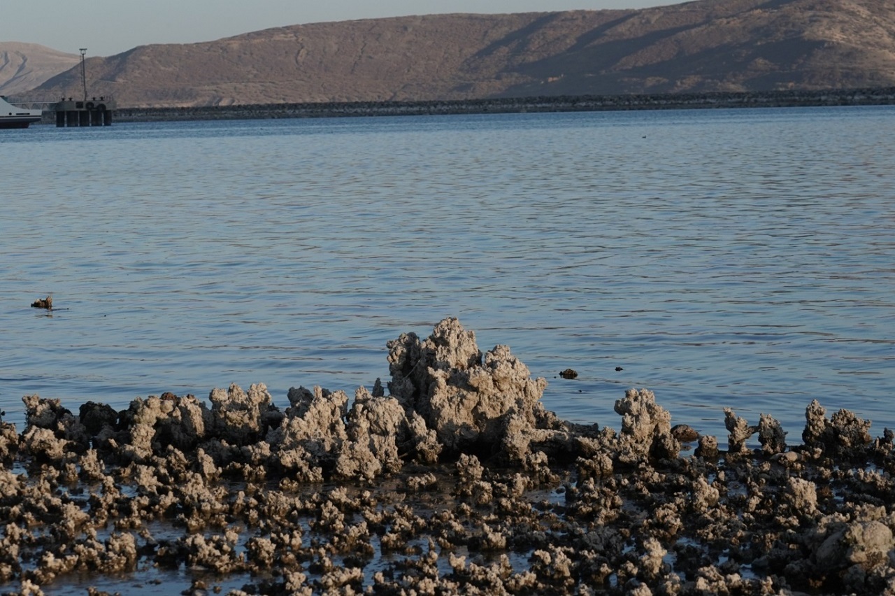 Van Gölü'nde Tehlike Devam Ediyor! Mikrobiyolitler Ortaya Çıktı (8)