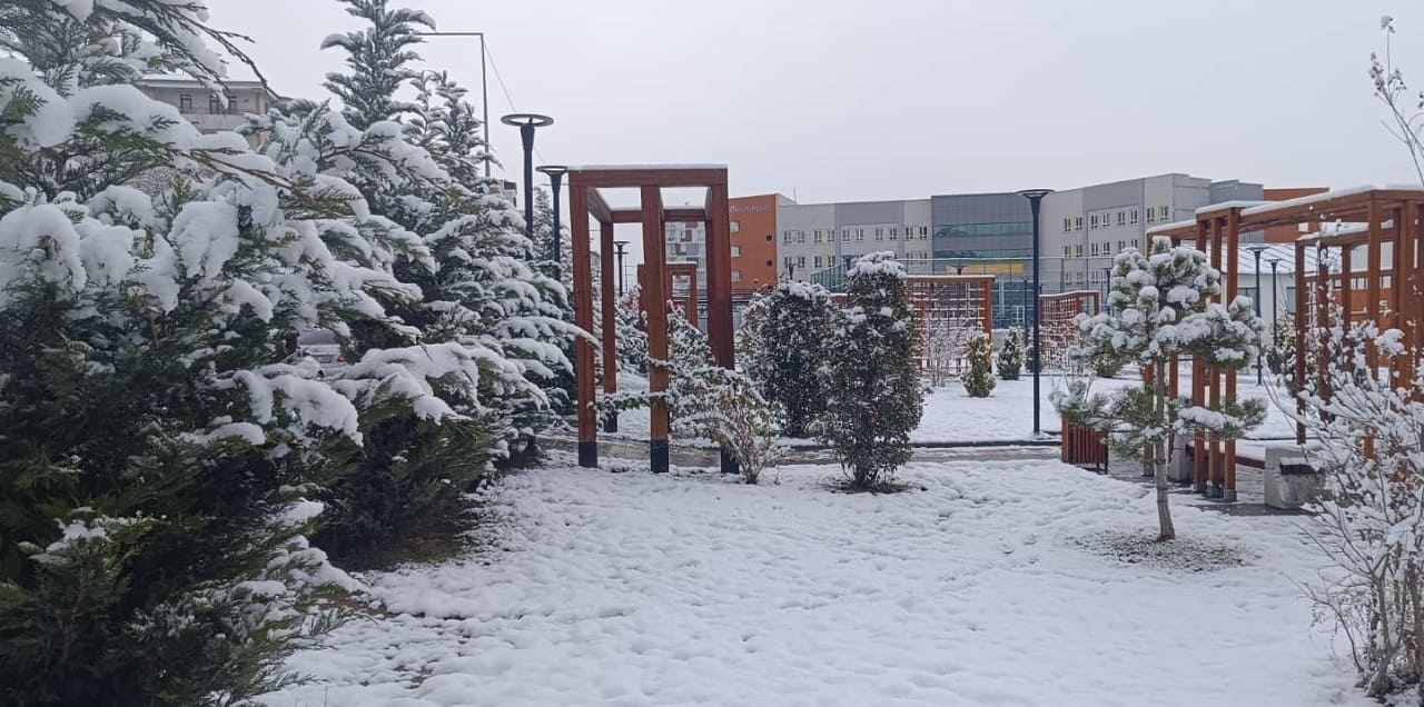 Van Güne Beyaz Örtüyle Uyandı! (4)