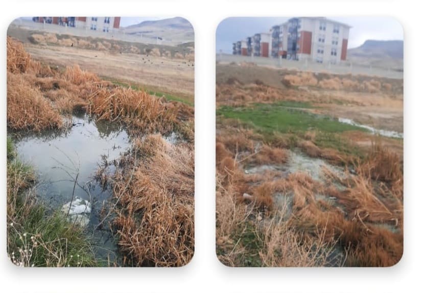 Van’da Foseptik Taştı, Mahalleyi Koku Sardı! (3)