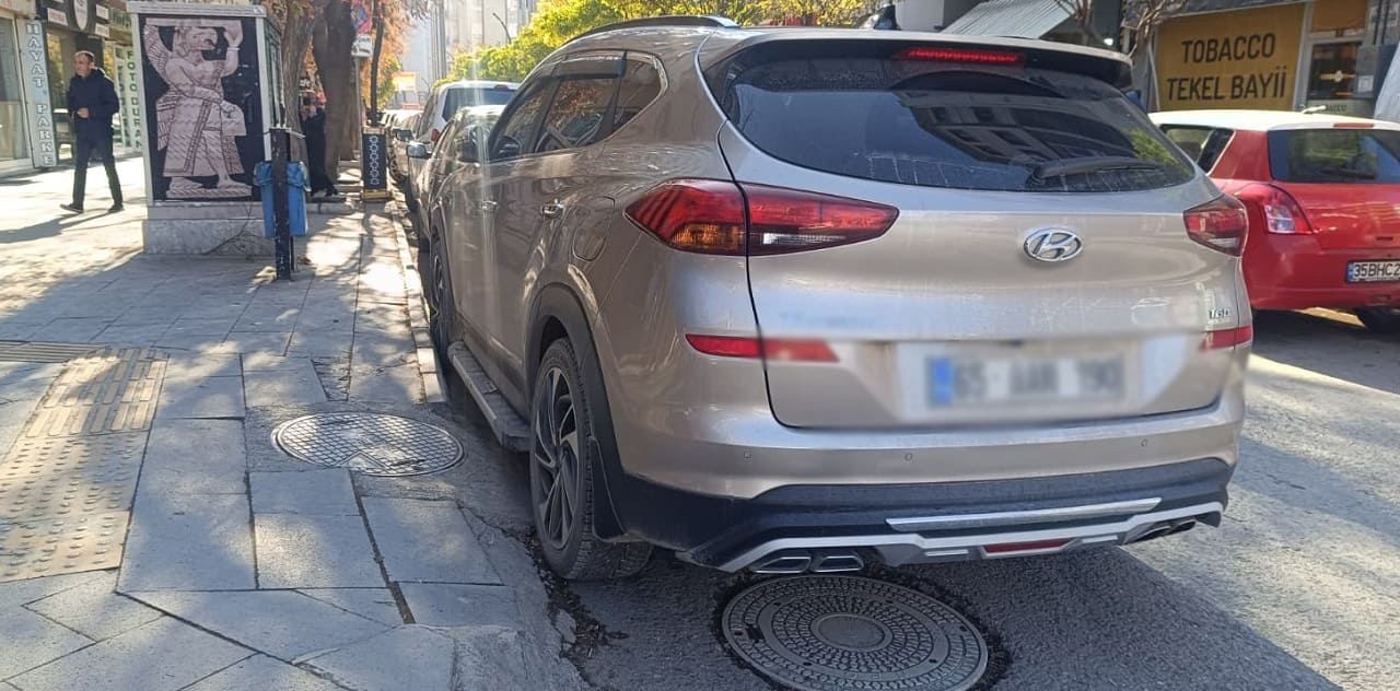 Van’da Hatalı Parka Ilginç Tepki Park Eden Engellidir! (2)