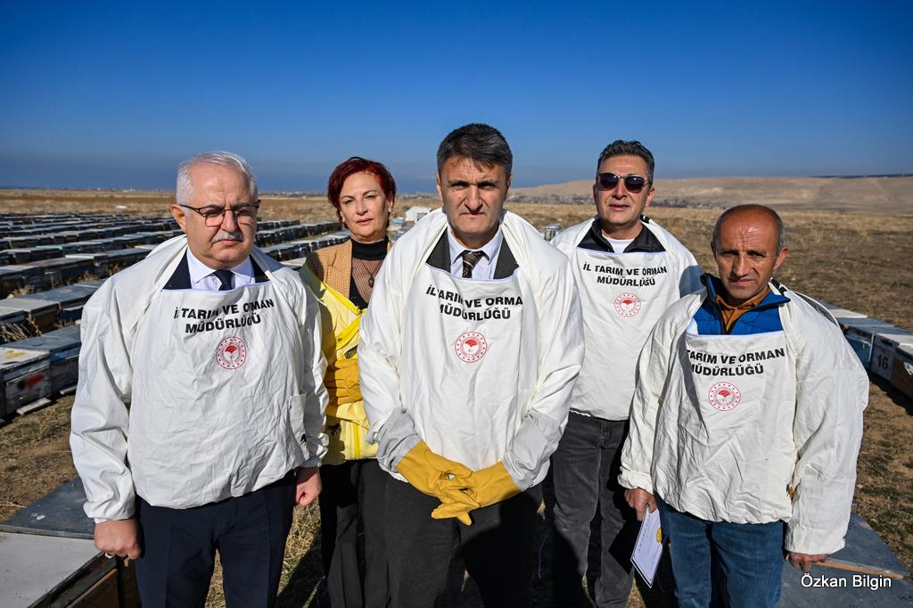 Van’da Üretilen Bal Uluslararası Birincilik Ödülü Aldı! (1)