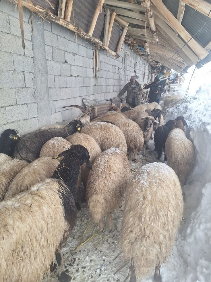 Çatak’tan Çığ Haberleri Gelmeye Devam Ediyor! (1)-1