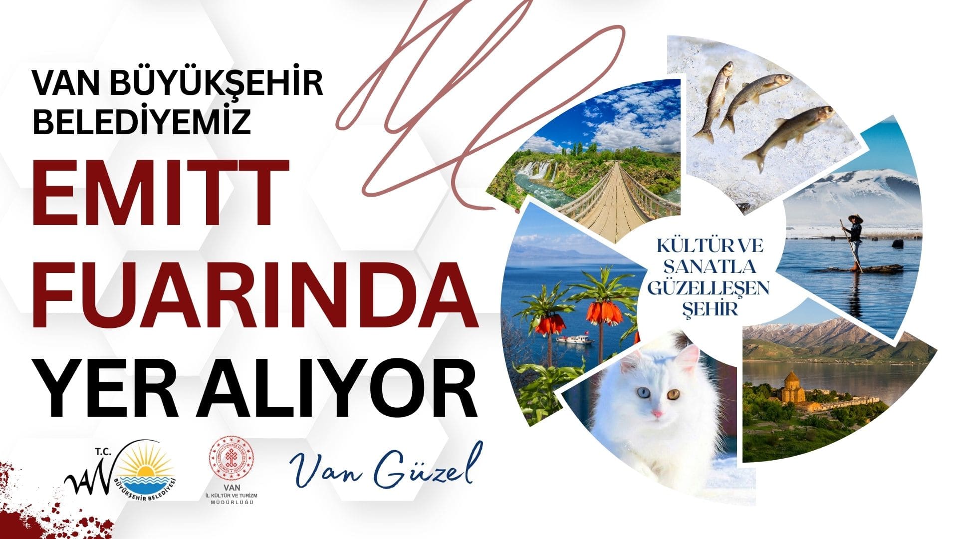 Van İstanbul’a Taşınacak! 1-1